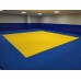 Judo Minderi ( IJF Federasyon Standartında  100*100*4 cm.